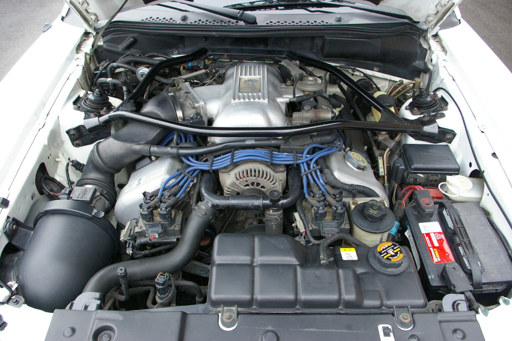 Name:  IMGP2705.jpg
Views: 101
Size:  291.9 KB