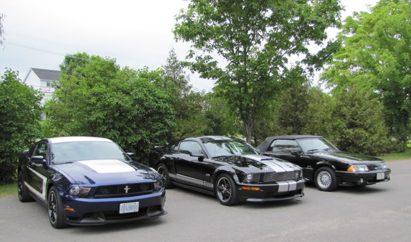 Name: IMG_0303.jpg
Views: 37
Size: 106.0 KB