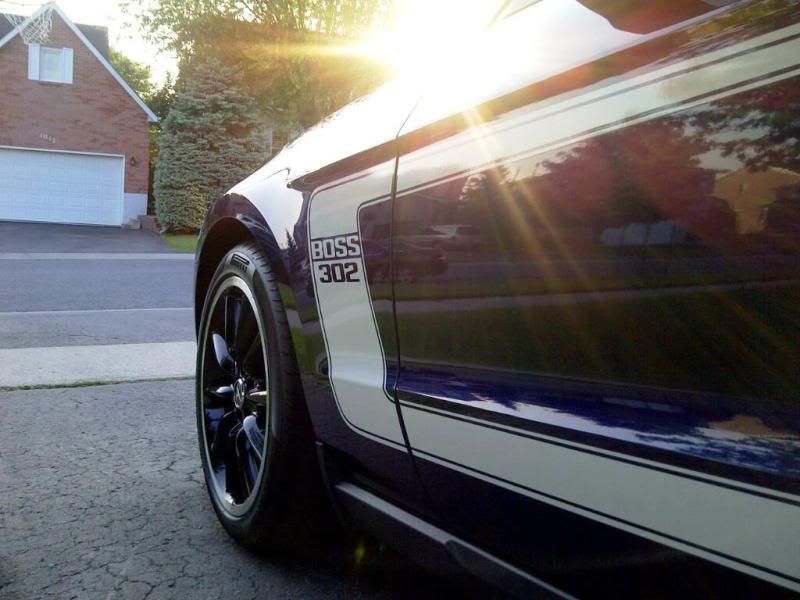 Name:  Kingston-Boss.jpg
Views: 38
Size:  59.1 KB