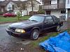 New Guy-picture-076.jpg