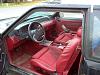 New Guy-picture-083.jpg