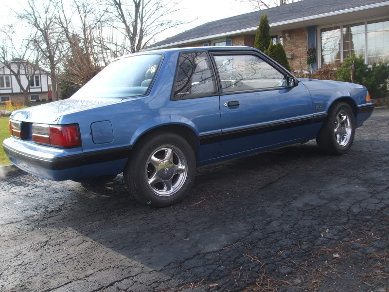 Name:  88Mustang016.jpg
Views: 19
Size:  124.7 KB