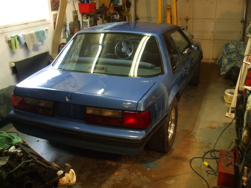 Name:  88Mustang084.jpg
Views: 28
Size:  85.9 KB