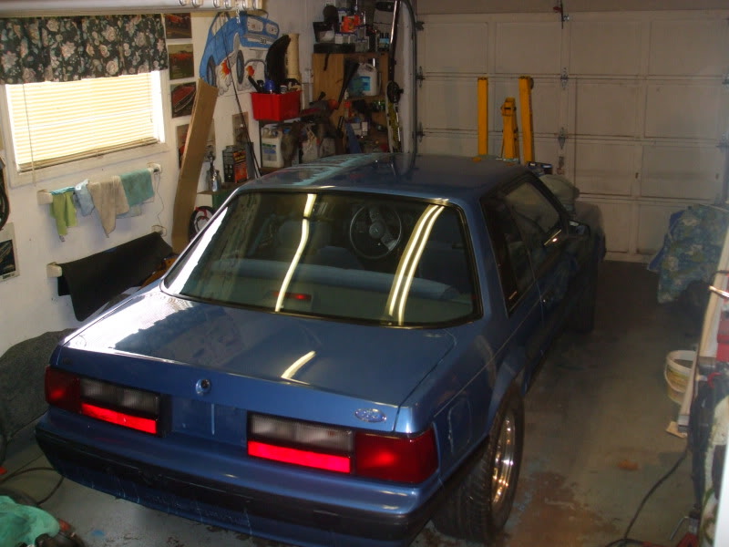Name:  88Mustang085.jpg
Views: 28
Size:  94.6 KB