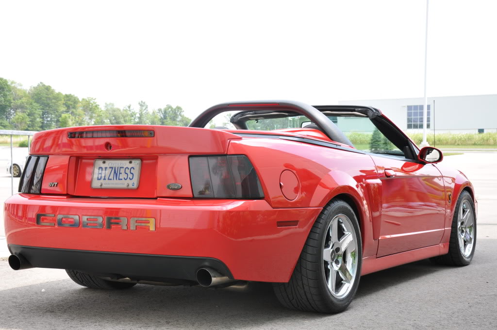 Name:  Cobra2010001.jpg
Views: 28
Size:  139.1 KB