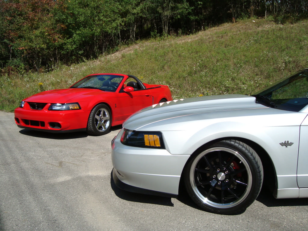 Name:  DSC03733.jpg
Views: 32
Size:  266.6 KB