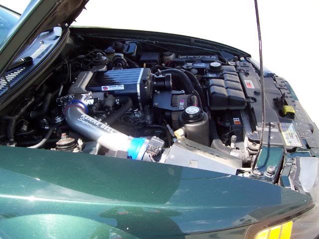 Name:  bullitt039.jpg
Views: 16
Size:  59.3 KB