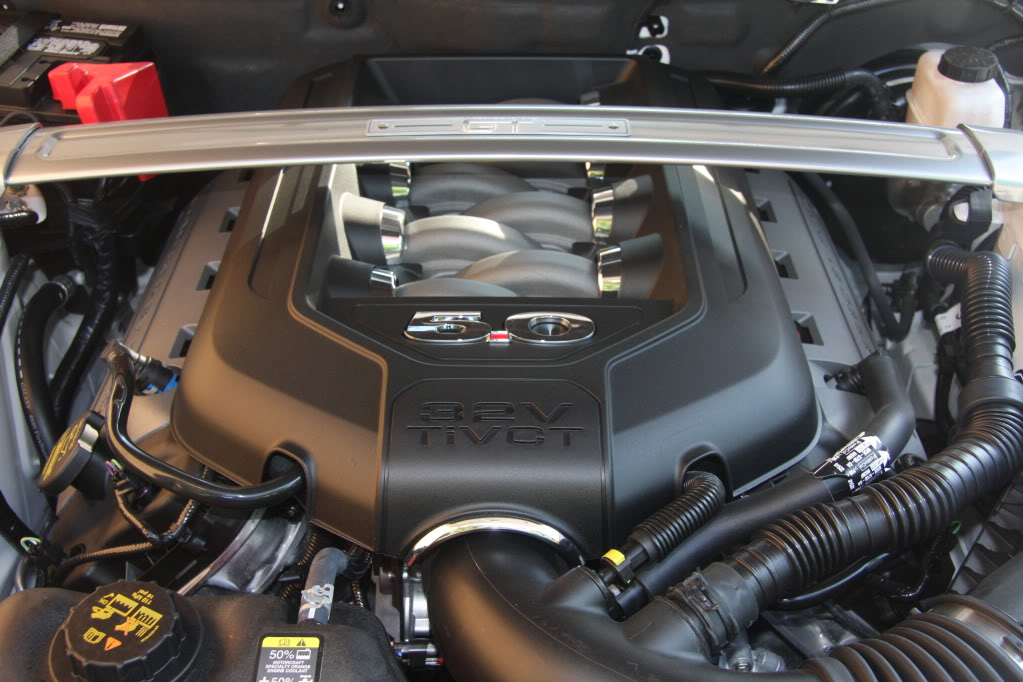 Name:  IMG_1023.jpg
Views: 16
Size:  141.9 KB