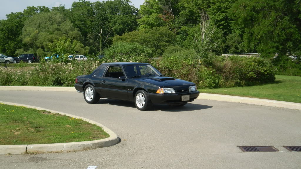 Name: P7300289.jpg
Views: 40
Size: 160.0 KB