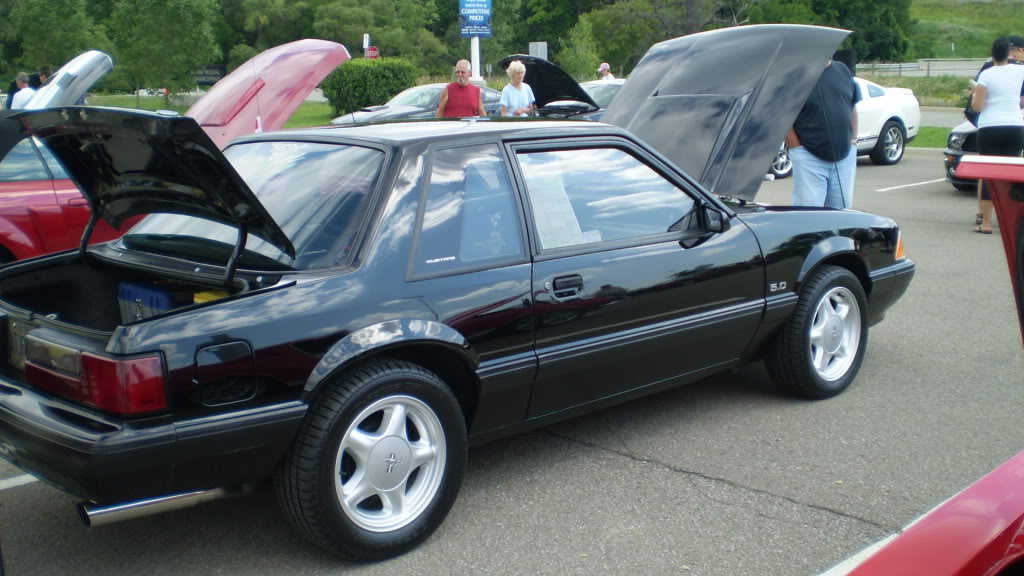 Name: P7300252.jpg
Views: 35
Size: 125.7 KB