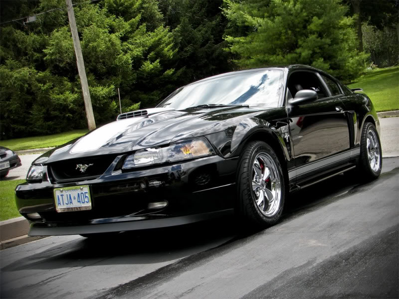 Name:  IMG_65841024.jpg
Views: 26
Size:  127.3 KB