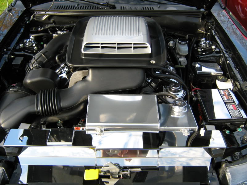 Name:  IMG_0468-1.jpg
Views: 23
Size:  119.1 KB