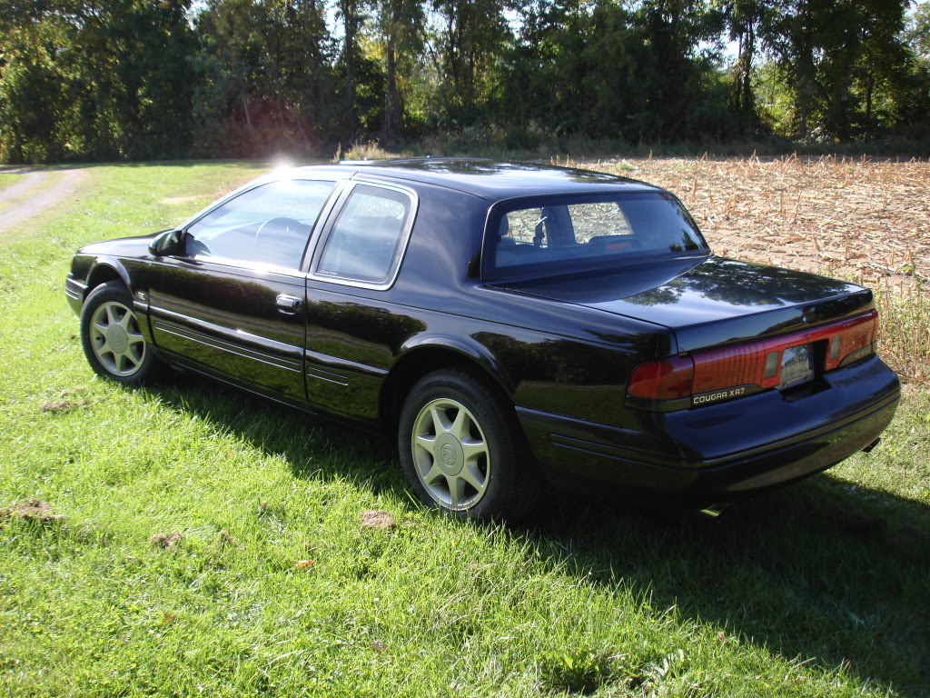 Name:  DSC06797.jpg
Views: 29
Size:  271.1 KB