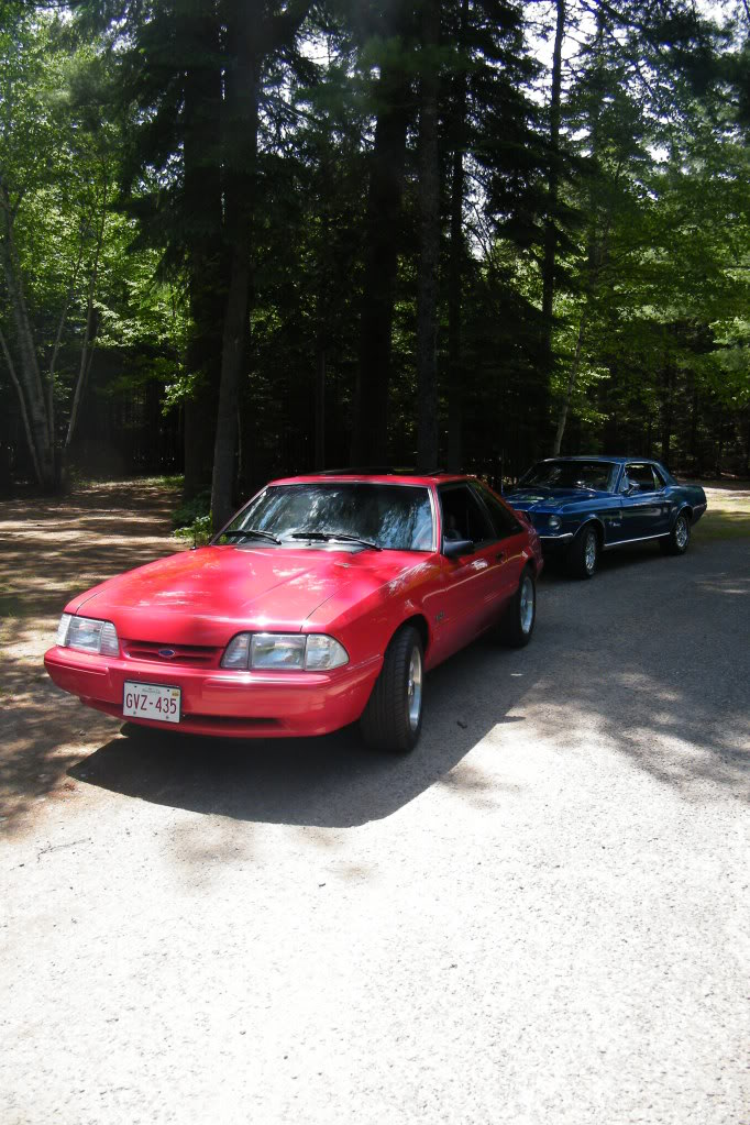 Name: DSCF5561.jpg
Views: 51
Size: 160.5 KB