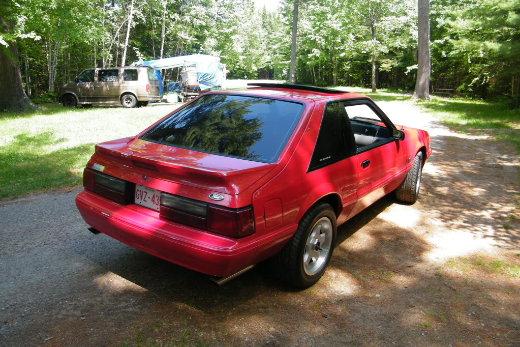 Name: DSCF5557.jpg
Views: 53
Size: 232.8 KB