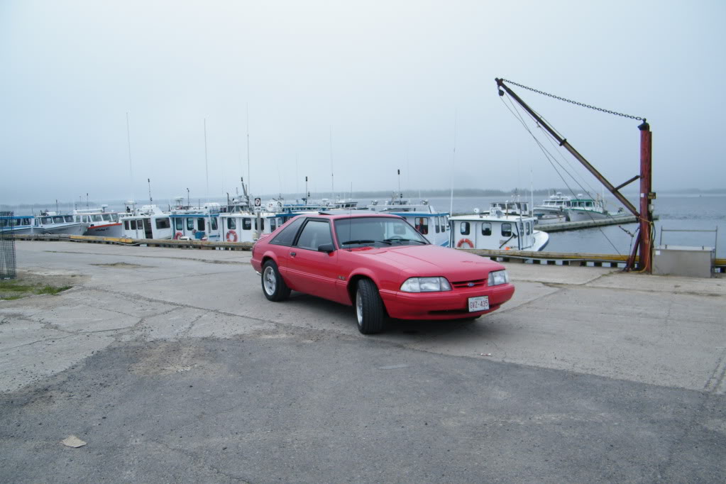 Name: DSCF5572.jpg
Views: 51
Size: 110.2 KB