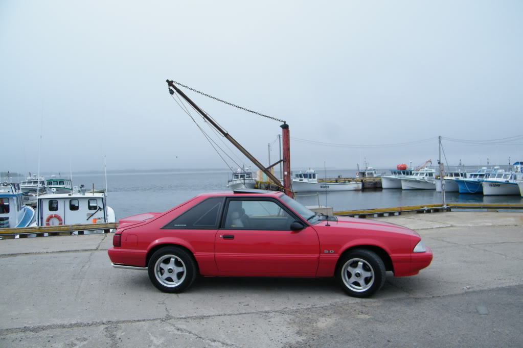 Name: DSCF5571.jpg
Views: 50
Size: 96.9 KB