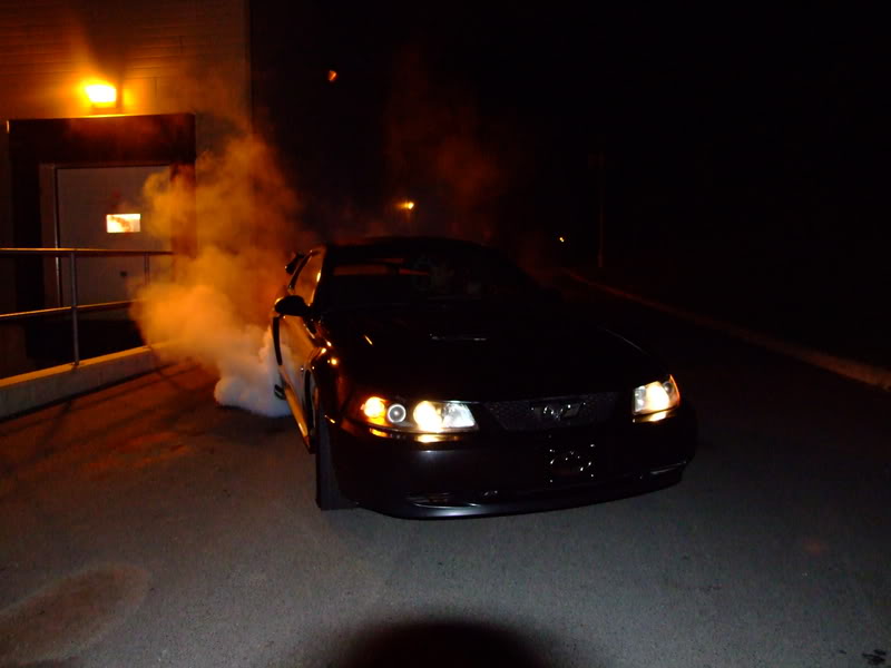 Name:  dscf0055.jpg
Views: 18
Size:  40.2 KB