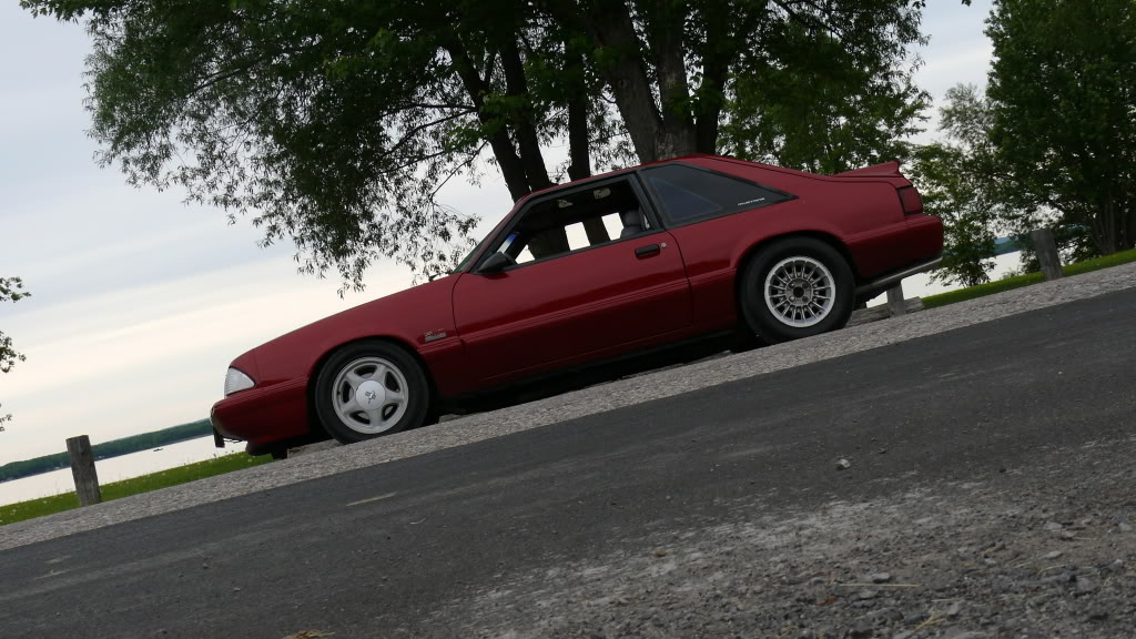 Name: P1000989.jpg
Views: 22
Size: 167.2 KB