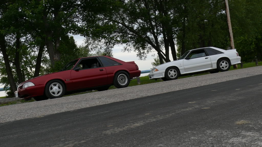 Name: P1000990.jpg
Views: 20
Size: 183.0 KB