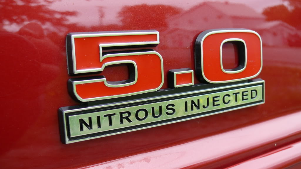 Name: P1000987.jpg
Views: 61
Size: 111.3 KB