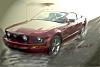 New Member-my-mustang-gt.jpg