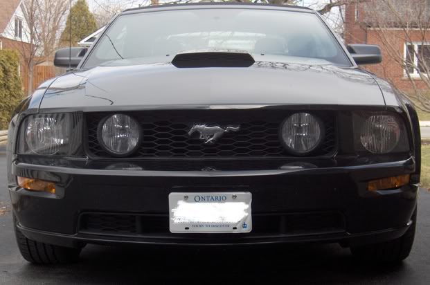 Name:  front.jpg
Views: 56
Size:  40.0 KB