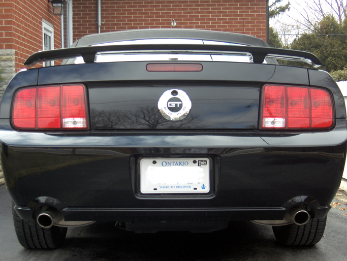 Name:  back.jpg
Views: 65
Size:  314.6 KB