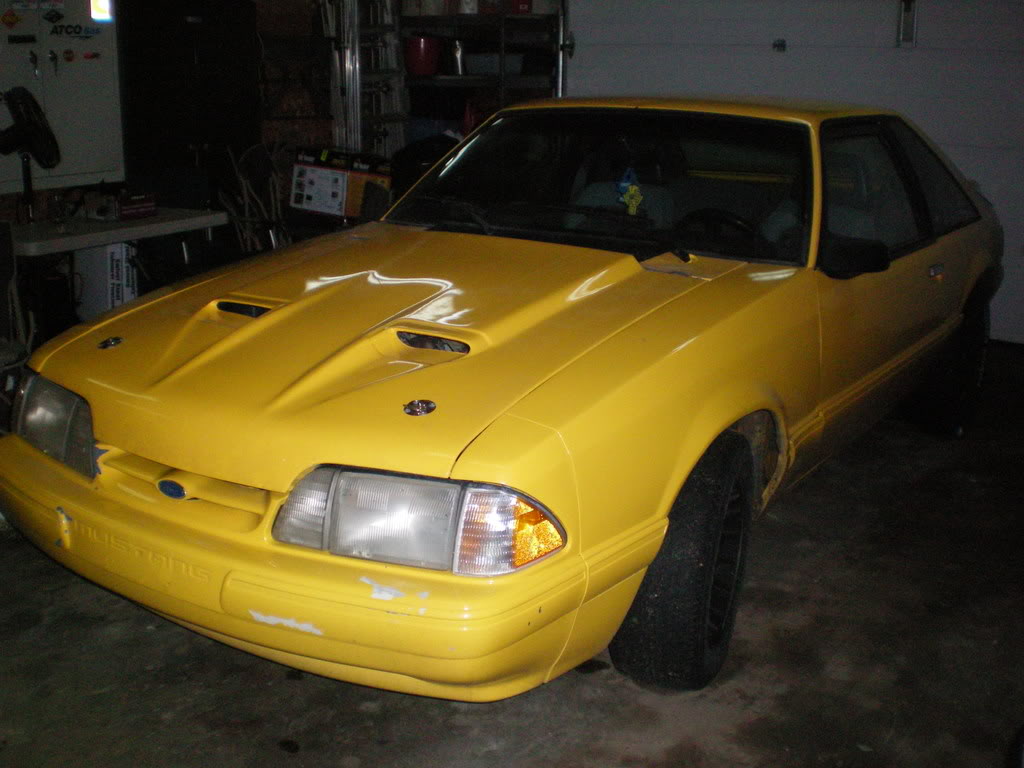 Name:  100_0180.jpg
Views: 45
Size:  94.8 KB