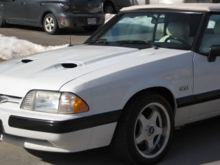 Name:  IMG_2965.jpg
Views: 17
Size:  17.5 KB