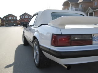 Name:  IMG_2967.jpg
Views: 14
Size:  16.4 KB