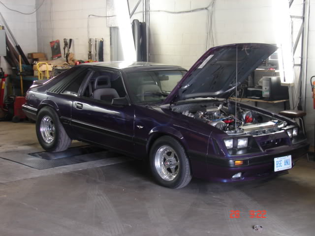 Name: DSC02424.jpg
Views: 22
Size: 50.2 KB