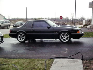 Name:  DSC01237.jpg
Views: 13
Size:  23.0 KB