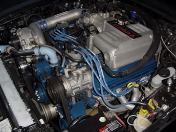 Name:  DSC01245-1.jpg
Views: 13
Size:  30.1 KB