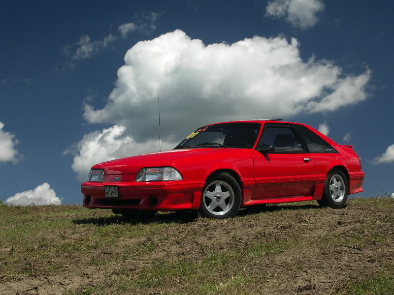 Name:  StangMan1.jpg
Views: 20
Size:  109.0 KB