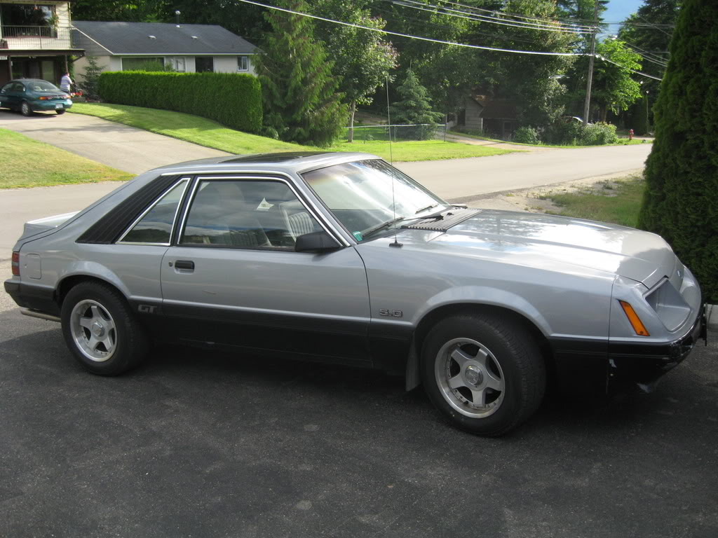 Name: 1985Mustang001.jpg
Views: 28
Size: 148.2 KB