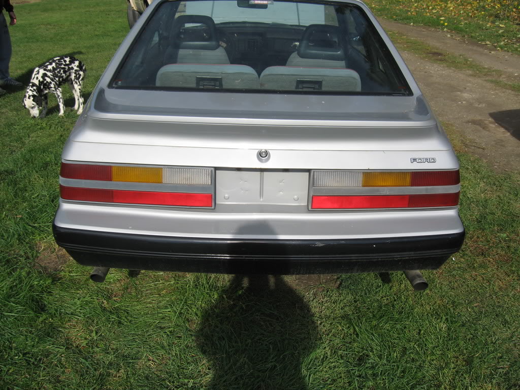 Name: IMG_0736.jpg
Views: 24
Size: 186.0 KB