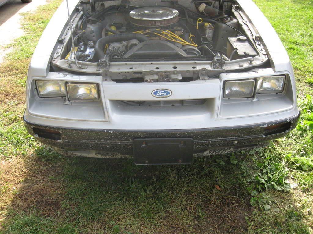 Name: IMG_0734.jpg
Views: 43
Size: 223.1 KB