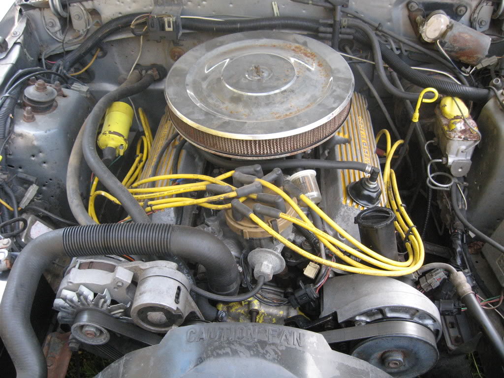 Name: IMG_0733.jpg
Views: 24
Size: 174.5 KB