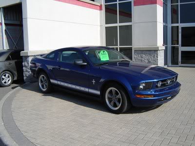 Name:  06mustang.jpg
Views: 65
Size:  22.8 KB