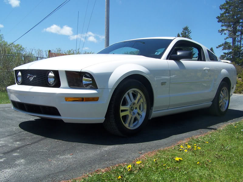 Name:  ponies-026b.jpg
Views: 10
Size:  99.3 KB