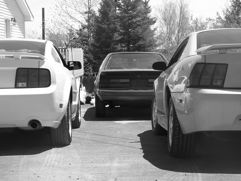 Name:  ponies-048b-1.jpg
Views: 12
Size:  89.7 KB