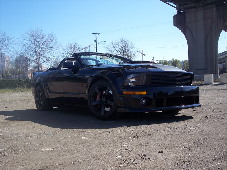 Name:  100_4347copy-1.jpg
Views: 24
Size:  116.6 KB