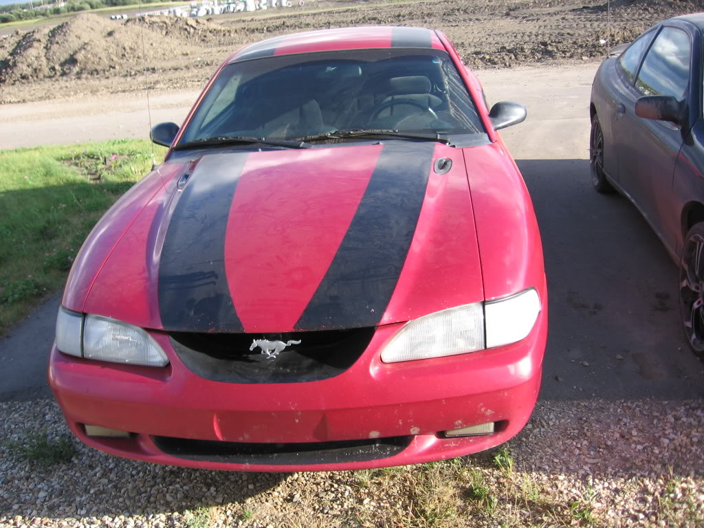 Name:  Camerapics1151-1.jpg
Views: 22
Size:  164.1 KB