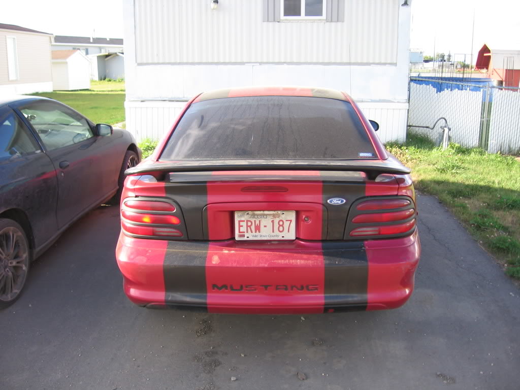 Name:  Camerapics1152.jpg
Views: 21
Size:  105.1 KB