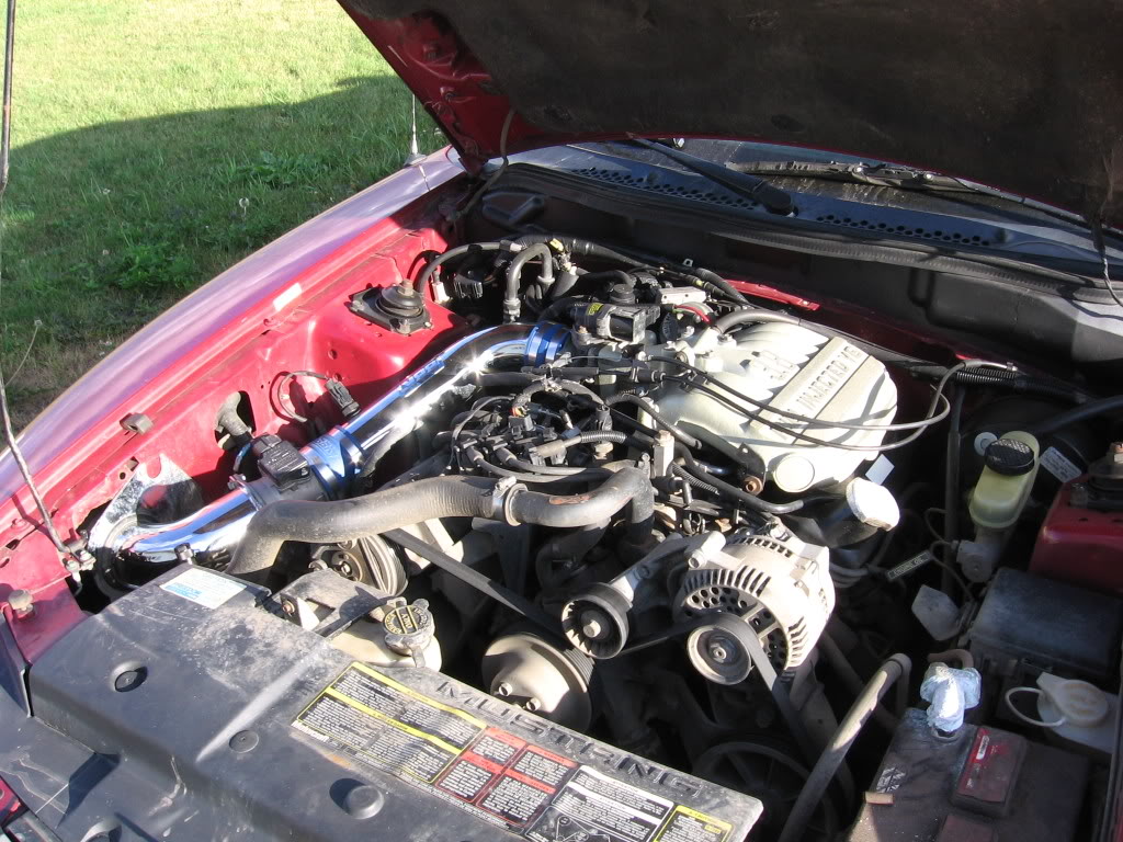 Name:  Camerapics1158.jpg
Views: 21
Size:  183.2 KB