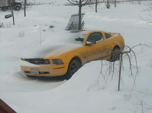 Name:  HPIM2806.jpg
Views: 16
Size:  23.8 KB