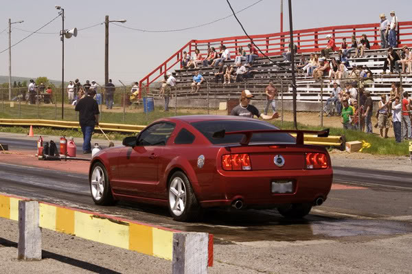 Name:  M-Stang08.jpg
Views: 47
Size:  73.0 KB