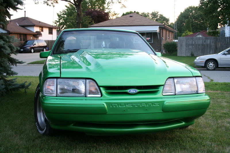 Name:  grandbend-newmustang340.jpg
Views: 23
Size:  96.8 KB