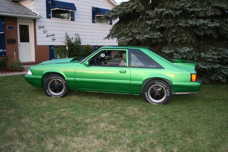 Name:  grandbend-newmustang331.jpg
Views: 27
Size:  118.9 KB